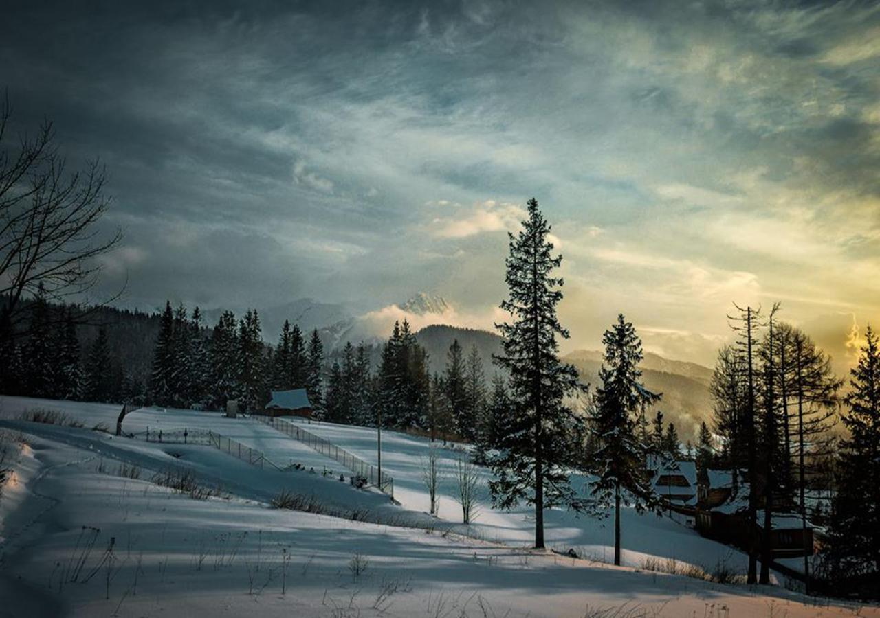 Apartamenty Toporowa Cyrhla Zakopane Exteriér fotografie